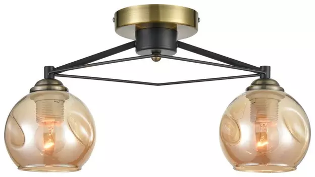 Люстра потолочная с 2 Led лампами. Комплект от Lustrof №227088-708059