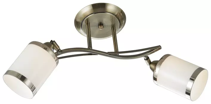 Люстра потолочная с 2 Led лампами. Комплект от Lustrof №151230-708549