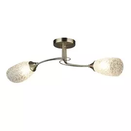 Люстра потолочная Wedo Light Адрара 66266.01.05.02