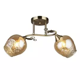 Люстра потолочная Wedo Light Альби 66364.01.05.02