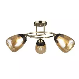 Люстра потолочная Wedo Light Aldino 66425.01.05.03