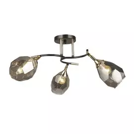 Люстра потолочная Wedo Light ANIONE 66554.01.15.03