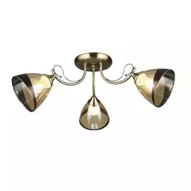 Люстра потолочная Wedo Light Бареджо 66269.01.05.03