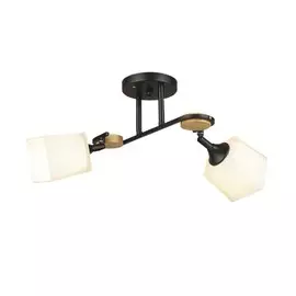 Люстра потолочная Wedo Light IVETTA 66582.01.14.02