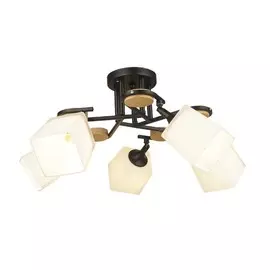 Люстра потолочная Wedo Light IVETTA 66582.01.14.05