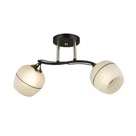 Люстра потолочная Wedo Light MODI 66638.01.69.02