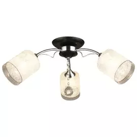 Люстра потолочная Wedo Light Nembro 66272.01.13.03