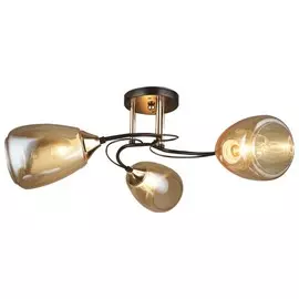 Люстра потолочная Wedo Light Sabato 66267.01.69.03