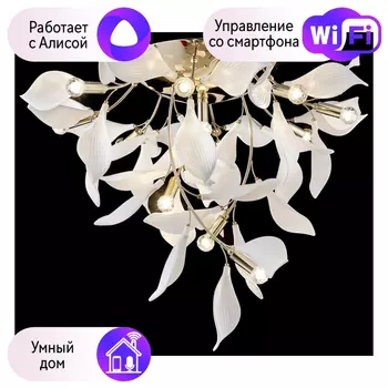 Люстра потолочная Wertmark MIRANDA с Алисой WE123.12.307-A