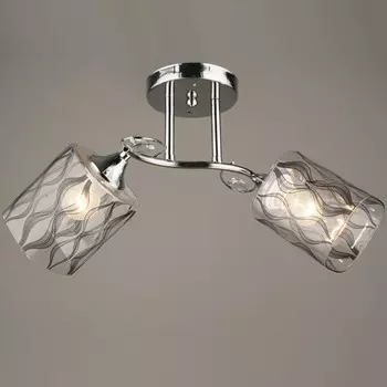 Люстра потолочная WINKRUS N3808/2