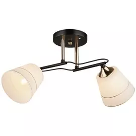 Люстра потолочная WinkRUS WX022-2