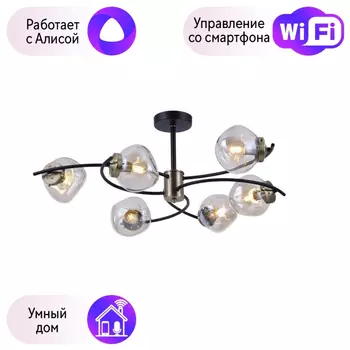 Люстра с поддержкой Алисы На штанге Omnilux OML-95307-06-A