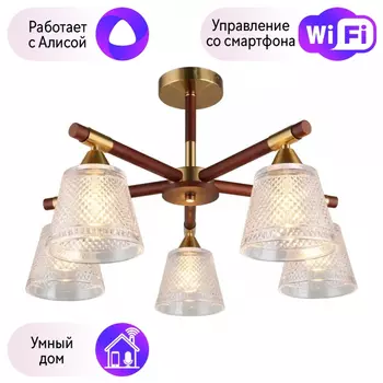 Люстра с поддержкой Алисы На штанге Omnilux OML-67607-05-A