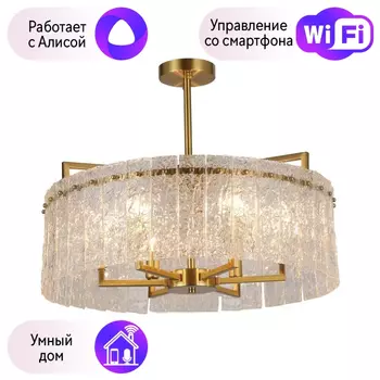 Люстра с поддержкой Алисы На штанге Omnilux OML-68907-06-A