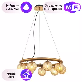 Люстра с поддержкой Алисы подвесная APLOYT APL.764.03.09-A