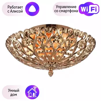 Люстра с поддержкой Алисы потолочная Omnilux OML-75907-02-A