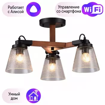 Люстра с поддержкой Алисы потолочная Omnilux OML-51007-03-A