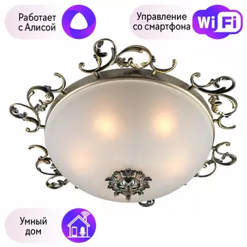 Люстра с поддержкой Алисы потолочная Omnilux OML-76507-05-A