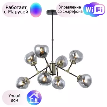 Люстра с поддержкой Маруси На штанге Omnilux OML-95207-08-M