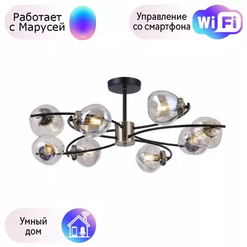 Люстра с поддержкой Маруси На штанге Omnilux OML-95307-08-M