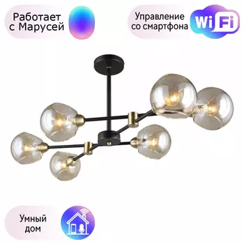 Люстра с поддержкой Маруси На штанге Omnilux OML-94207-06-M