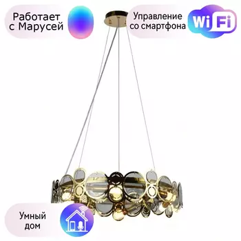 Люстра с поддержкой Маруси подвесная APLOYT APL.829.13.10-M