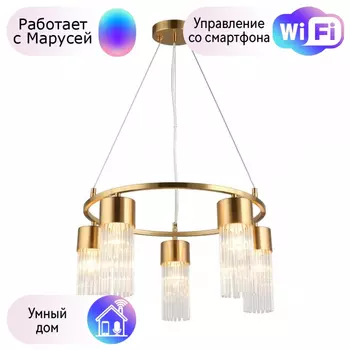 Люстра с поддержкой Маруси подвесная Omnilux OML-67103-05-M