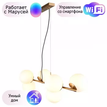Люстра с поддержкой Маруси подвесная Omnilux OML-66623-06-M
