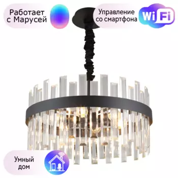 Люстра с поддержкой Маруси подвесная Omnilux OML-69413-06-M