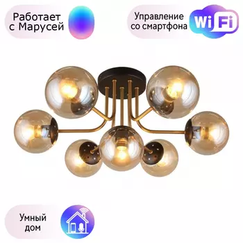 Люстра с поддержкой Маруси потолочная APLOYT APL.906.07.07-M