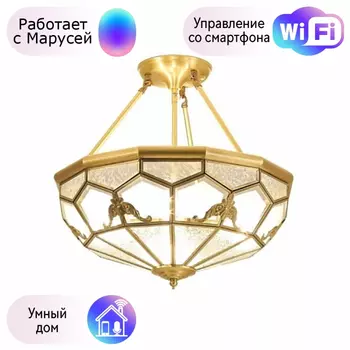 Люстра с поддержкой Маруси потолочная APLOYT APL.625.17.04-M