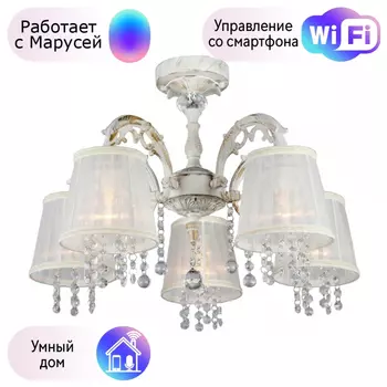 Люстра с поддержкой Маруси потолочная Omnilux OML-30007-05-M