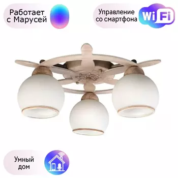 Люстра с поддержкой Маруси потолочная Omnilux OML-50517-03-M