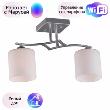 Люстра с поддержкой Маруси потолочная Omnilux OML-55307-02-M