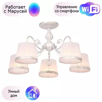 Люстра с поддержкой Маруси потолочная Omnilux OML-54117-05-M