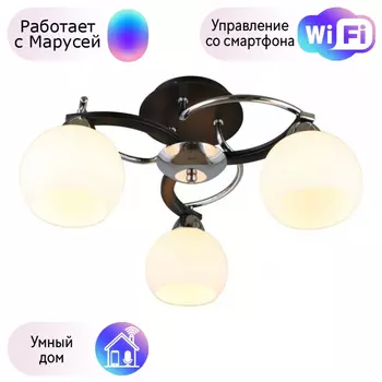 Люстра с поддержкой Маруси потолочная Omnilux OML-25407-03-M