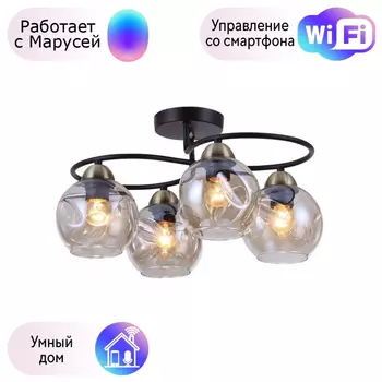 Люстра с поддержкой Маруси потолочная Omnilux OML-95007-04-M