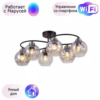 Люстра с поддержкой Маруси потолочная Omnilux OML-95007-06-M