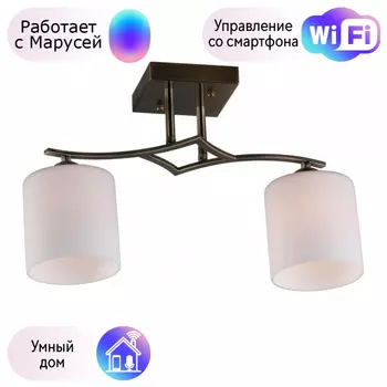 Люстра с поддержкой Маруси потолочная Omnilux OML-55317-02-M