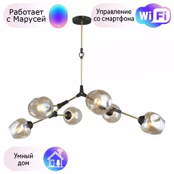 Люстра с поддержкой Маруси потолочная Omnilux OML-93707-06-M