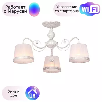 Люстра с поддержкой Маруси потолочная Omnilux OML-54117-03-M