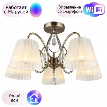 Люстра с поддержкой Маруси потолочная Omnilux OML-56617-05-M