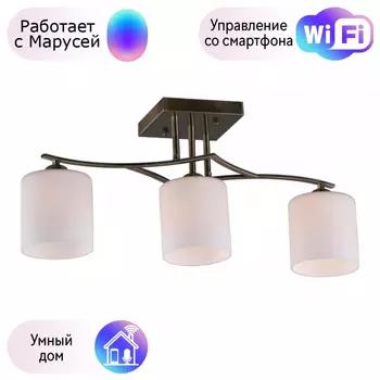 Люстра с поддержкой Маруси потолочная Omnilux OML-55317-03-M