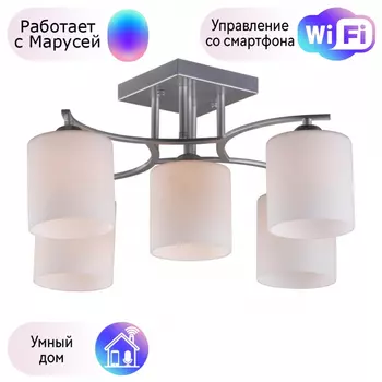 Люстра с поддержкой Маруси потолочная Omnilux OML-55307-05-M