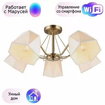 Люстра с поддержкой Маруси потолочная Omnilux OML-65007-05-M