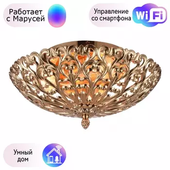 Люстра с поддержкой Маруси потолочная Omnilux OML-75907-02-M