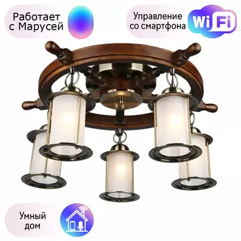 Люстра с поддержкой Маруси потолочная Omnilux OML-50307-05-M