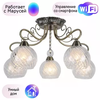 Люстра с поддержкой Маруси потолочная Omnilux OML-53507-05-M