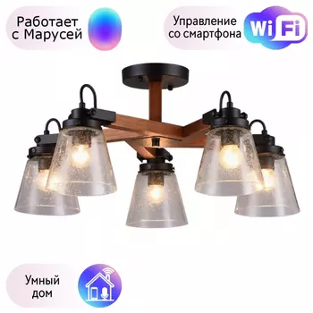 Люстра с поддержкой Маруси потолочная Omnilux OML-51007-05-M