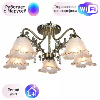 Люстра с поддержкой Маруси потолочная Omnilux OML-54807-05-M